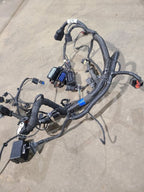 BOLT      2020 Engine Wire Harness 655379