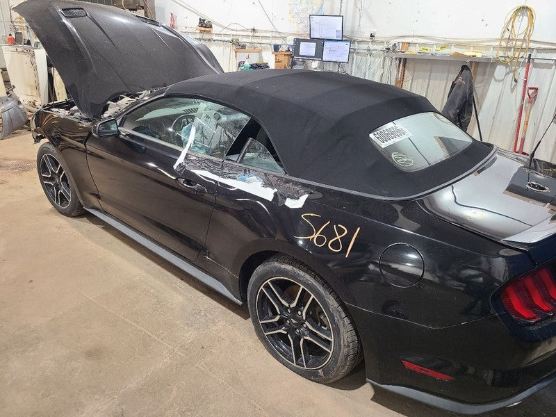 Trunk/Hatch/Tailgate Convertible With Spoiler Fits 15-23 MUSTANG 67688