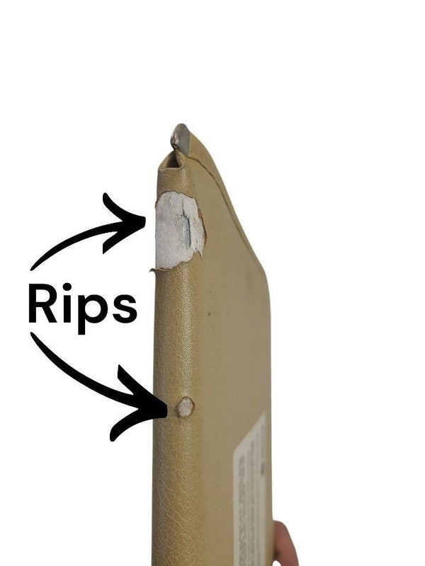DART      1975 Sun Visor 668153
