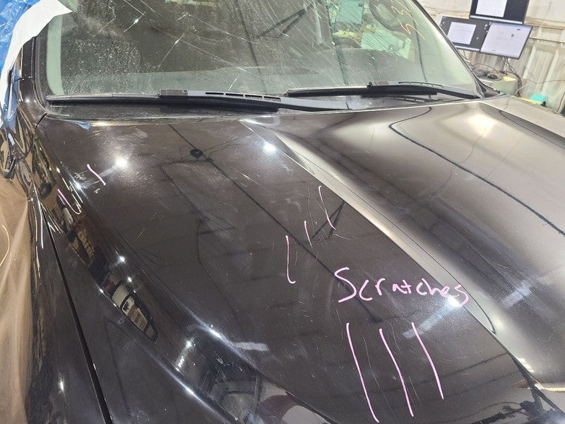 Hood Fits 08-22 SEQUOIA 657075