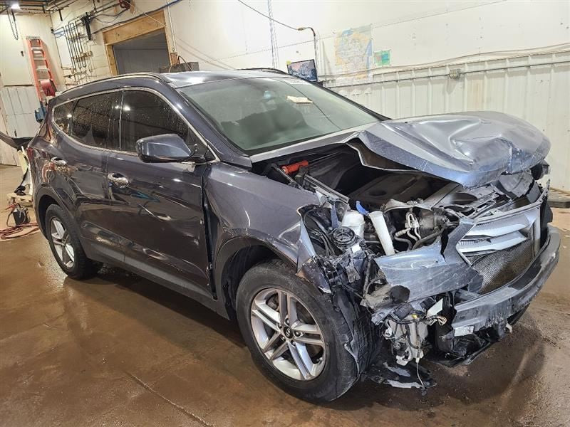 Passenger Right Front Door LWB Fits 15-19 SANTA FE 604344