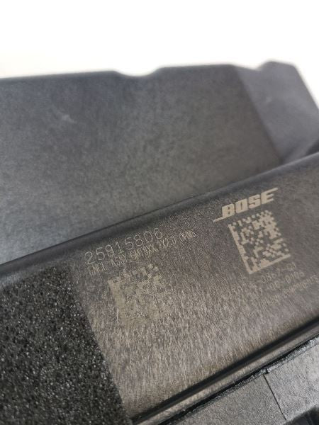 BOSE Subwoofer Speaker ESCALAESV 2013 560739