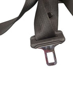 ESCALAESV 2011 Seat Belt Rear 587558