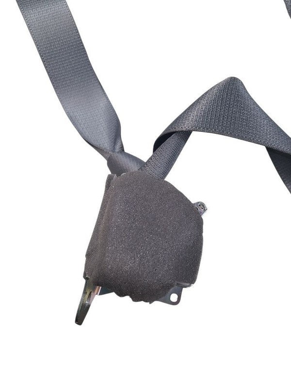 HIGHLANDR 2019 Seat Belt Rear 655743