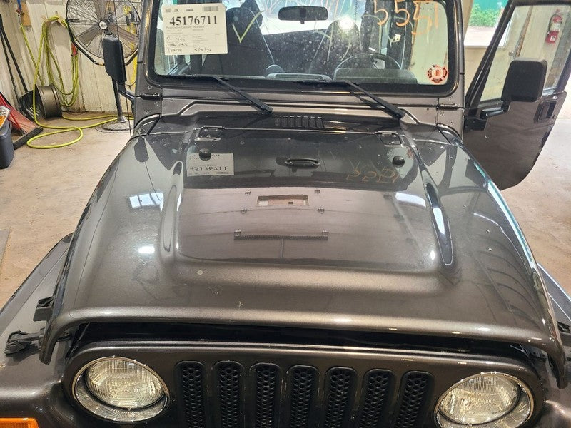 Hood Fits 97-06 WRANGLER 668893