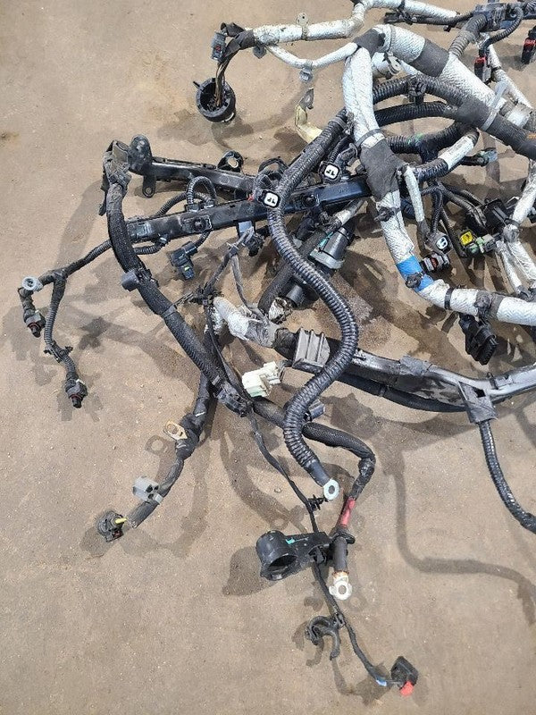DURANGO   2019 Engine Wire Harness 669160