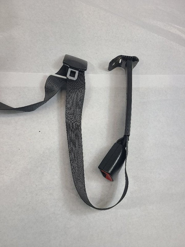 SILVRDO25 2010 Seat Belt Rear 605978