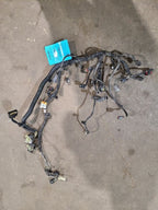 FUSION    2018 Engine Wire Harness 619826