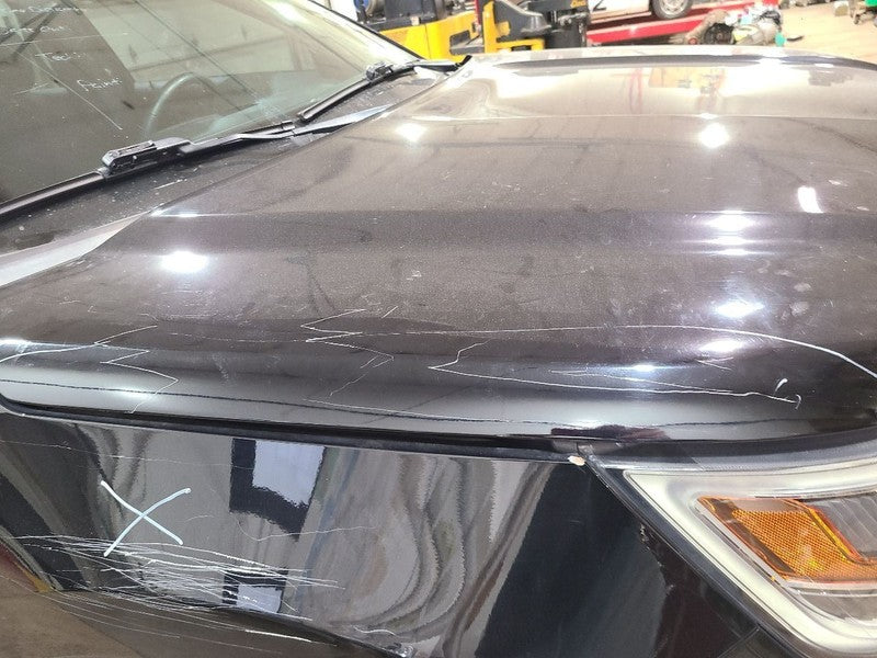 Hood Fits 16-19 EXPLORER 663598