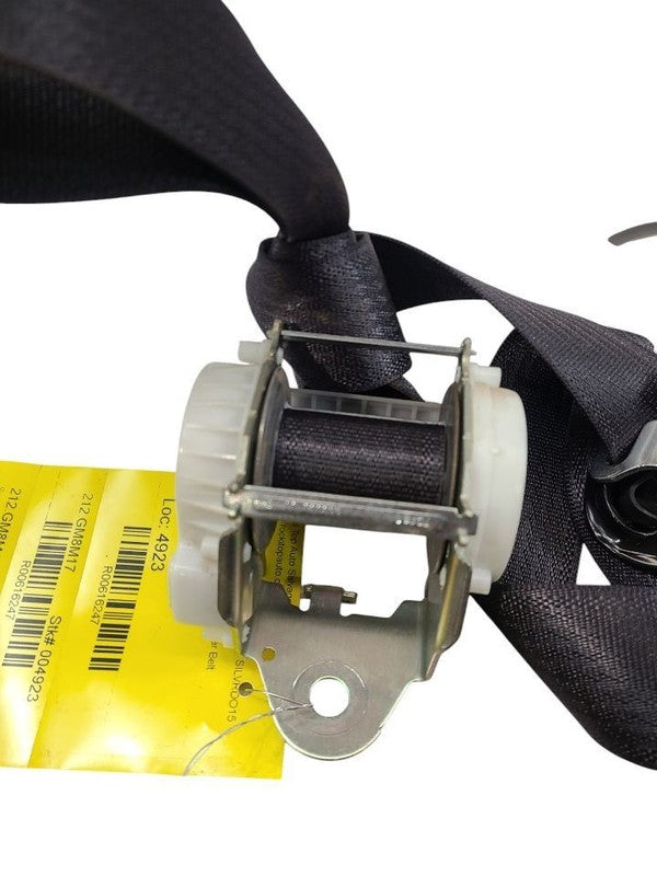 SILVRDO15 2017 Seat Belt Rear 616247