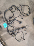 WRANGLER  2000 Engine Wire Harness 672922