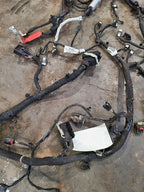 ESCAPE    2022 Engine Wire Harness 615125