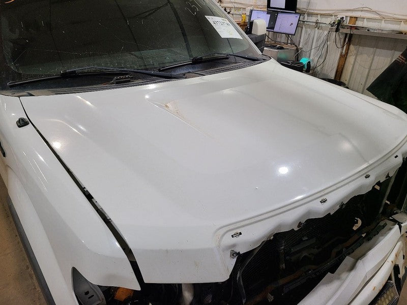 Hood Fits 09-14 FORD F150 PICKUP 664967