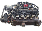 Engine 10-488 8.0L VIN W 8th Digit Fits 96-02 DODGE 2500 PICKUP 667135
