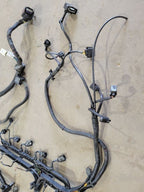 SPRINTV25 2006 Engine Wire Harness 672584