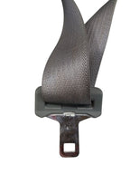 CARAVAN   2008 Seat Belt Rear 607618