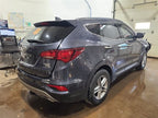 Passenger Right Front Door LWB Fits 15-19 SANTA FE 604344