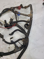 VEGA      1975 Engine Wire Harness 617209