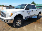 Oil Pan 5.4L 3V Fits 09-14 EXPEDITION 224844