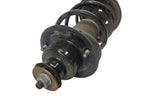 Strut Rear With Electronic Damper Control Fits 05-06 PORSCHE BOXSTER 6
