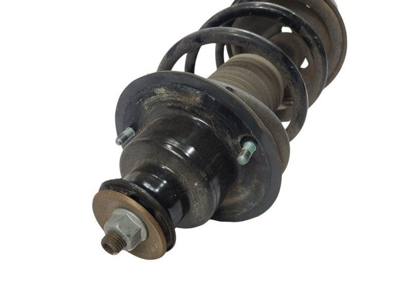 Strut Rear With Electronic Damper Control Fits 05-06 PORSCHE BOXSTER 6