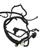 ESCALAESV 2017 Lamp Wiring Harness 590734