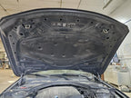 Hood Fits 12-18 BMW 320i 604475