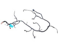 SILVRDO15 2017 Lamp Wiring Harness 645517