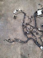 ESCAPE    2022 Engine Wire Harness 615125