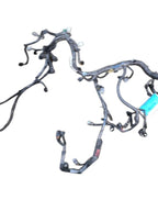 Engine Wire Harness Fits 2023 SENTRA 650533 240116LX0R