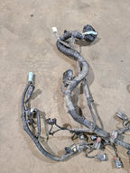 EDGE      2016 Engine Wire Harness 649126