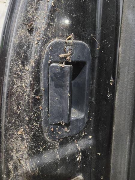 TDODR2500 1999 Door Handle Exterior 596888