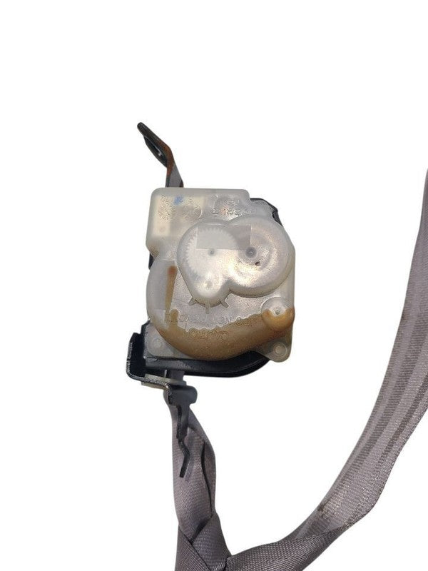 TACOMA    2002 Seat Belt Rear 670596