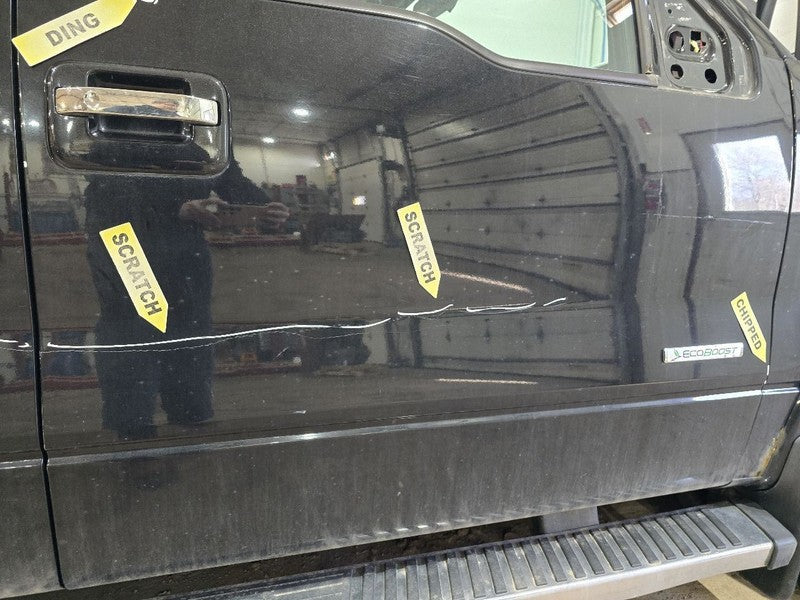 Passenger Front Door Electric Fits 09-14 FORD F150 PICKUP 624238