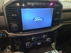 Trunk/Hatch/Tailgate Platinum Fits 21-23 FORD F150 PICKUP 680765