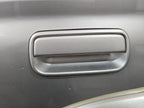 Driver Door Handle Exterior Assembly Door Painted Fits 00-02 4 RUNNER 