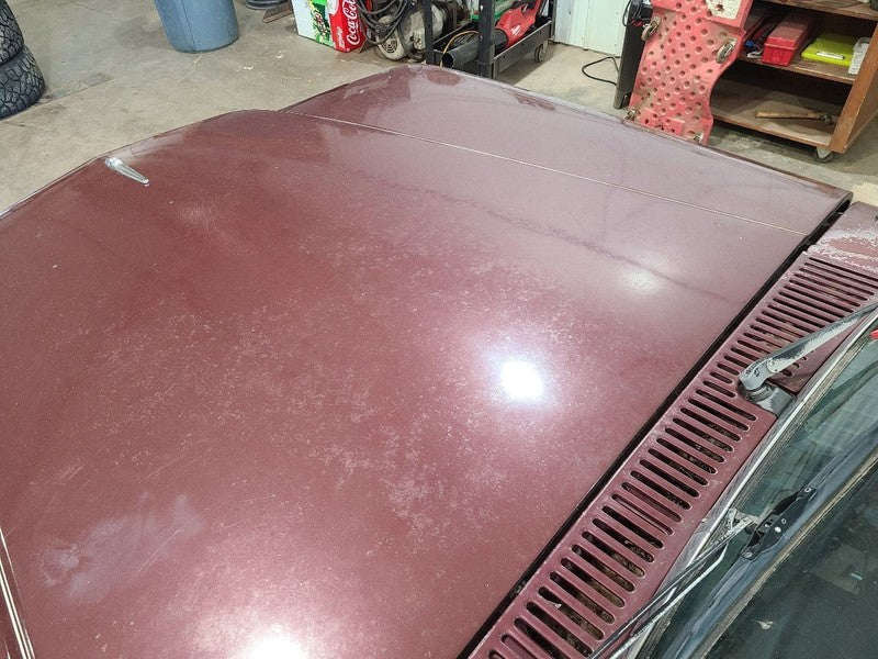 Hood Fits 84-91 GRAND WAGONEER 678939