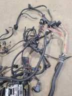 X5        2013 Engine Wire Harness 670371