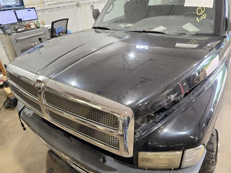 Hood Fits 94-02 DODGE 2500 PICKUP 596880