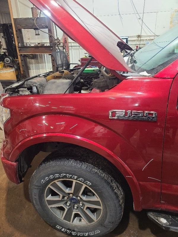 Driver Fender With Wheel Lip Moulding Fits 15-20 FORD F150 PICKUP 6538