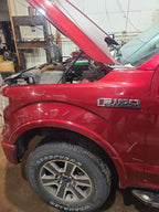 Driver Fender With Wheel Lip Moulding Fits 15-20 FORD F150 PICKUP 6538