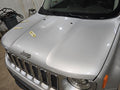 Hood Fits 15-23 RENEGADE 610350