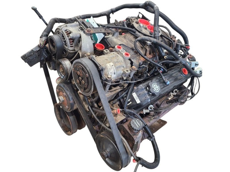 Engine 8-318 5.2L VIN Y 8th Digit Fits 94-97 DAKOTA 667849