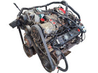 Engine 8-318 5.2L VIN Y 8th Digit Fits 94-97 DAKOTA 667849