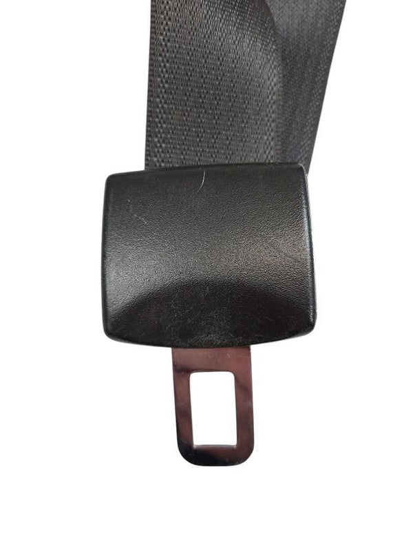 SIEDENALI 2010 Seat Belt Rear 613151