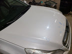 Hood Fits 10-14 LEGACY 664697