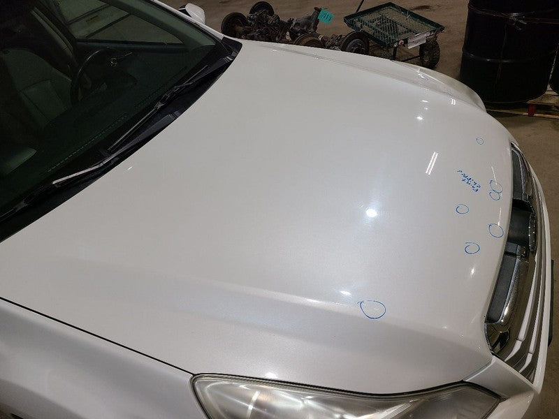 Hood Fits 10-14 LEGACY 664697