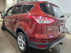 ESCAPE    2014 Seat Belt Rear 610499