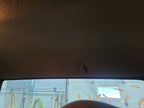 RANGER    1999 Headliner 665729