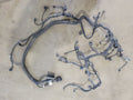 SPRINTV25 2020 Engine Wire Harness 672107